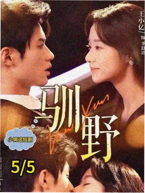 助教岑人物档案缩略图